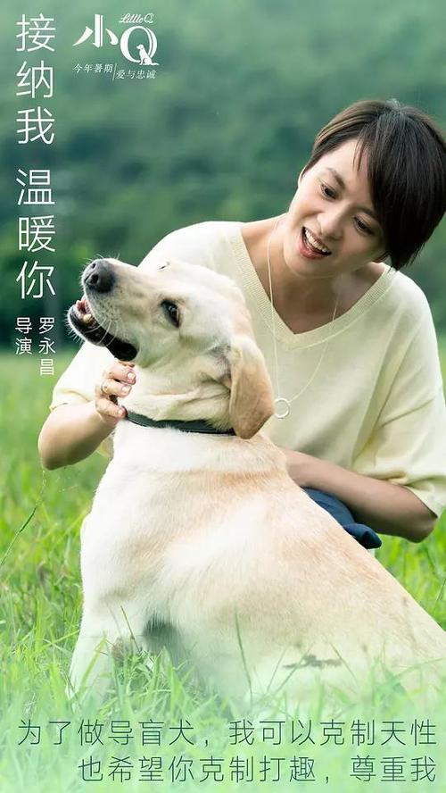 波莫纳学院Marketing Degree Certificate
